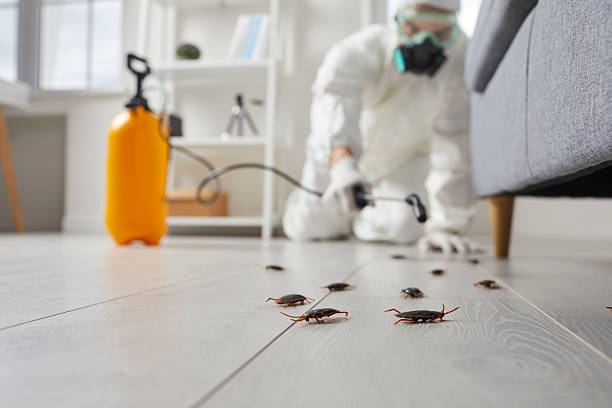 Trusted Cockroach Control service in Loveland, OH - Nex Pest Control